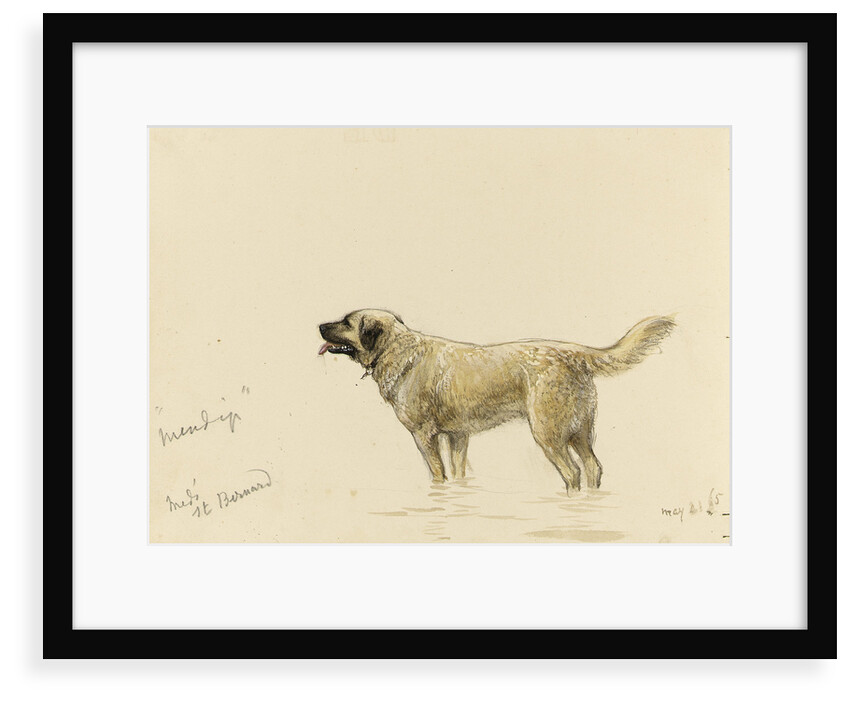 'Mendip' Megs St Bernard dog by John Brett