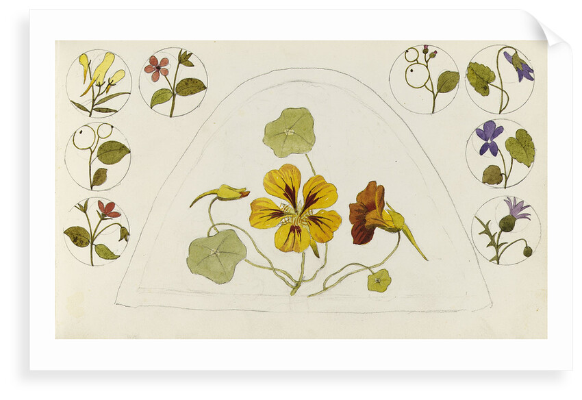 Designs with nasturtiums and other flowers by Rosa Brett