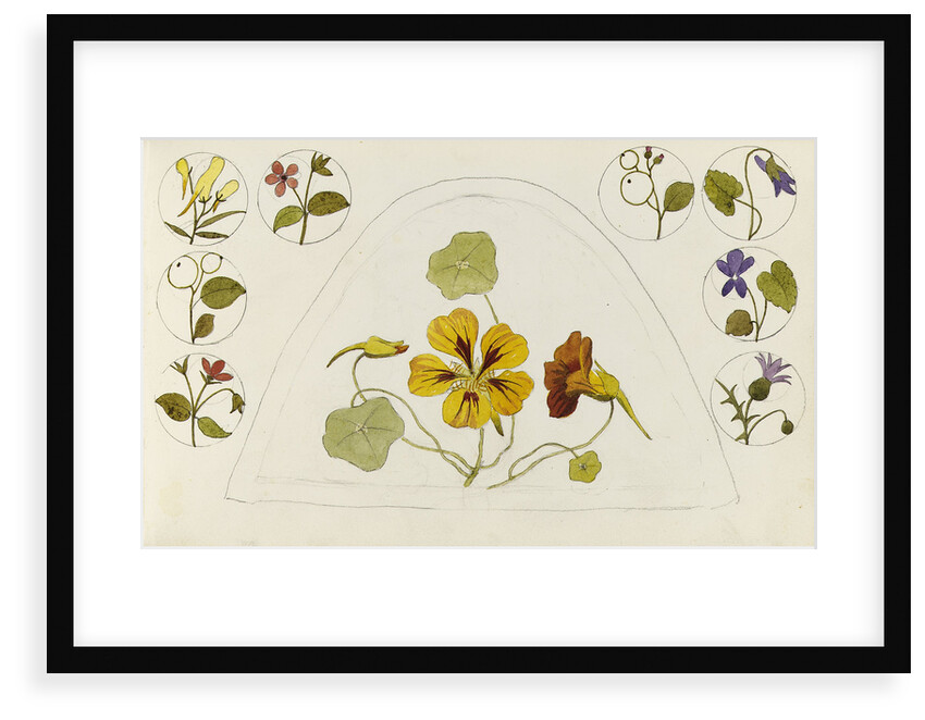 Designs with nasturtiums and other flowers by Rosa Brett