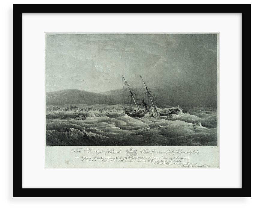 The loss of the steam ship 'Hope' steam ship on the south eastern coast of Africa by William John Huggins
