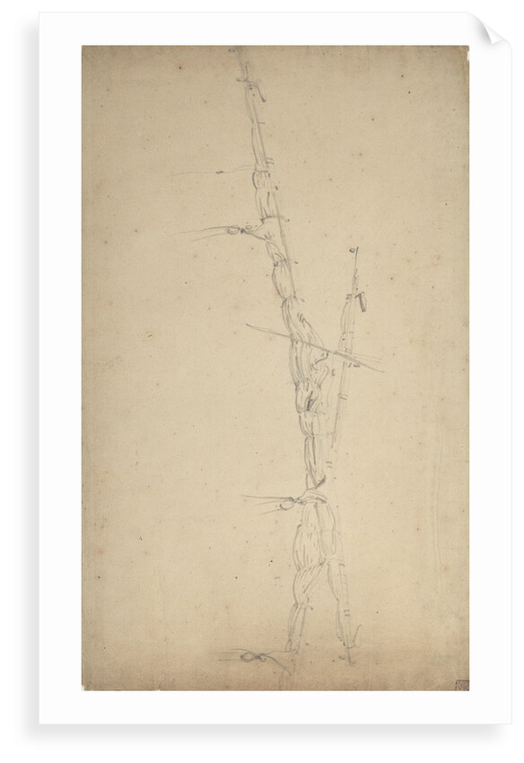 A study of two furled sails by Willem Van de Velde the Younger