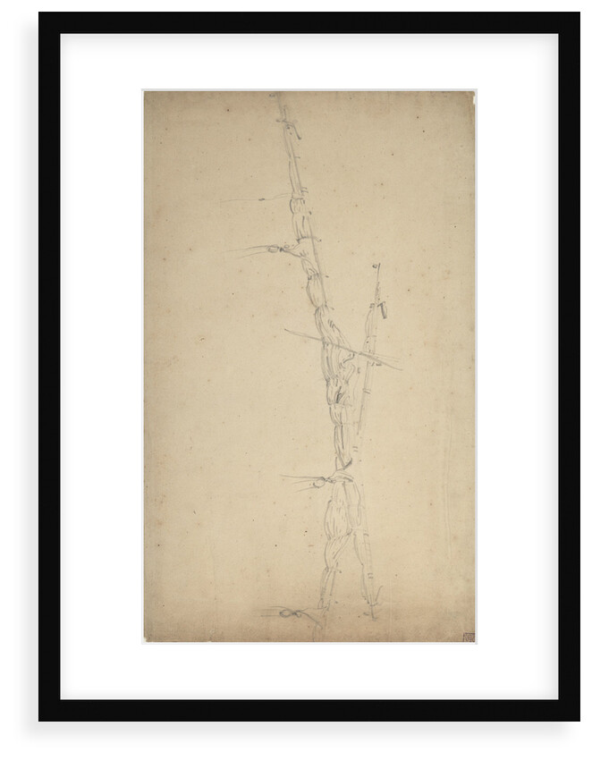 A study of two furled sails by Willem Van de Velde the Younger