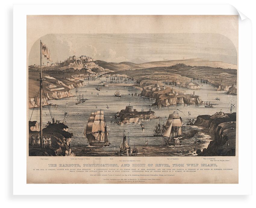 The harbour, fortifications, and Bight of Revel, from Wulf Island, in the Gulf of Finland, opposite Baro Sound, near Sweaborg... by H. Schmidt