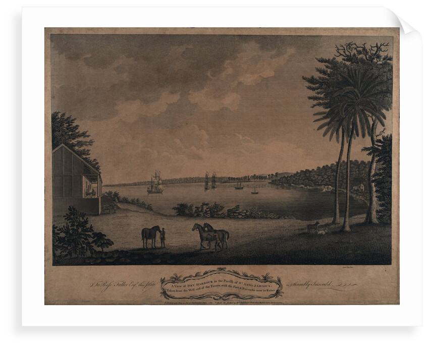 A view of Dry Harbour in the parish of St Ann's Jamaica by unknown