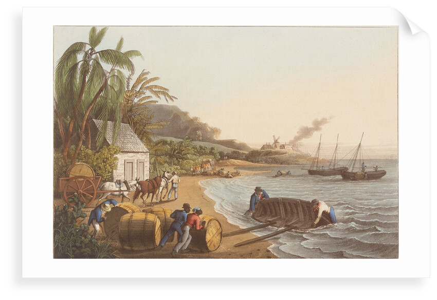 Shipping Sugar by Infant School Depository