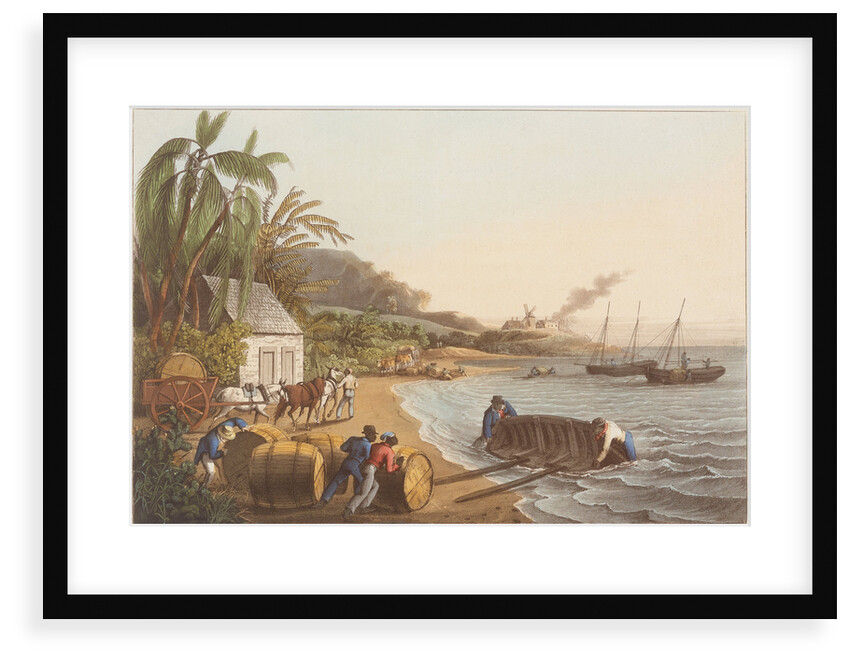 Shipping Sugar by Infant School Depository