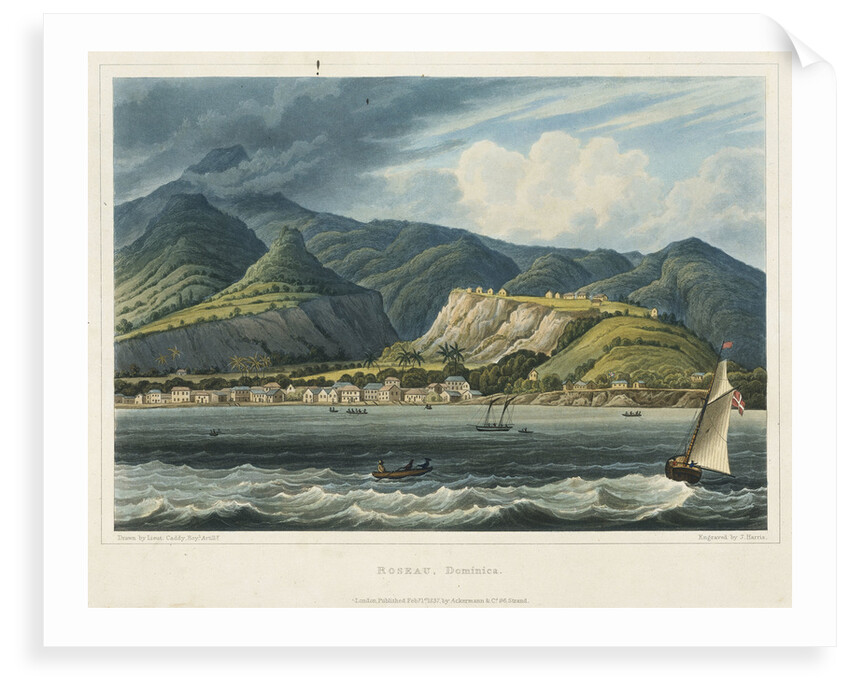 Roseau, Dominica by Caddy Caddy