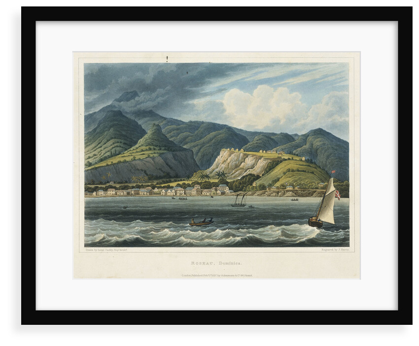 Roseau, Dominica by Caddy Caddy