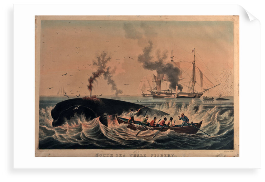 South Sea whale fishery by Ambroise Louis Garneray