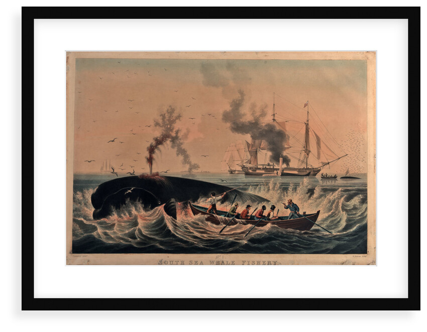 South Sea whale fishery by Ambroise Louis Garneray
