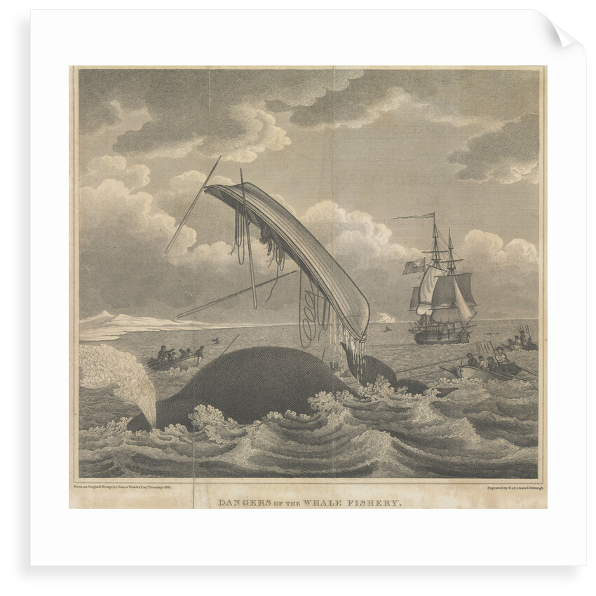 Frontispiece to 'Account of the Arctic Regions' by W Scoresby: Dangers of the Whale Fishery by William Horne Lizars