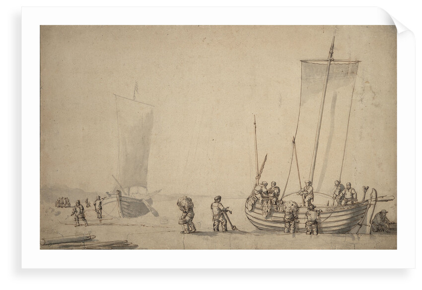 Pinks on the shore by Willem van de Velde the Elder