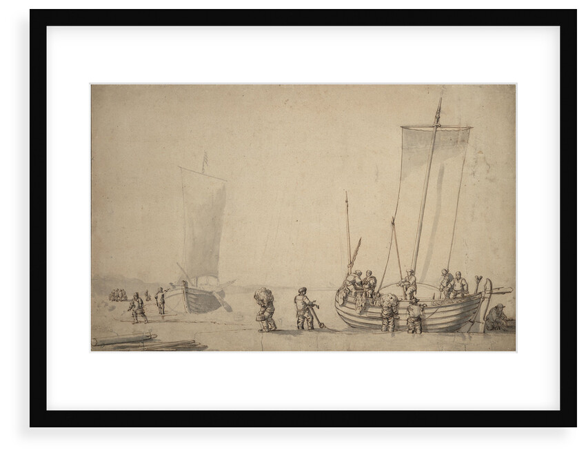 Pinks on the shore by Willem van de Velde the Elder