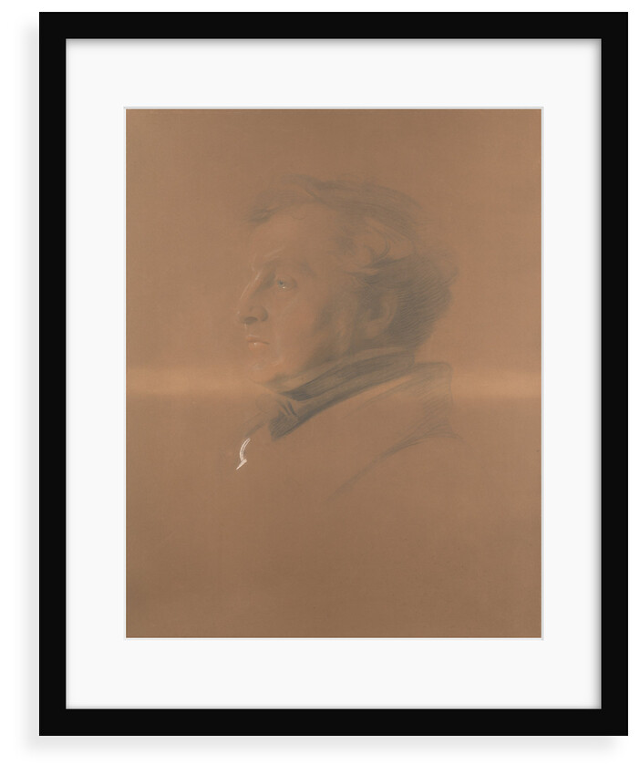 Captain James Fitzjames by unknown
