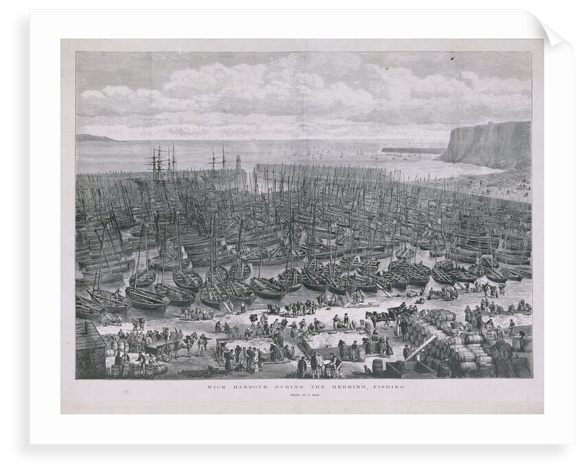 Wick harbour during the herring fishing by S. Read