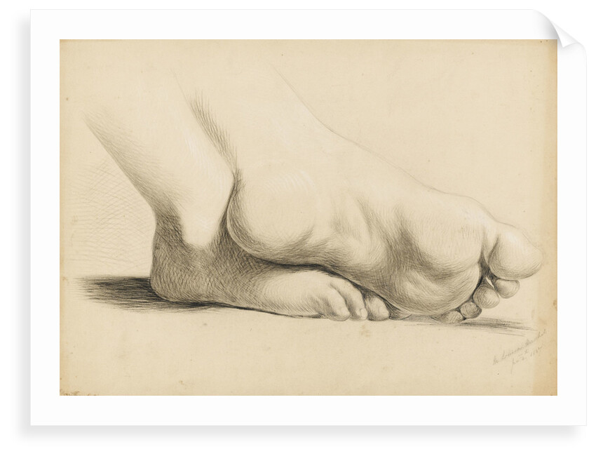 Study of a pair of feet crossed at the ankles by Margaret Louisa Herschel