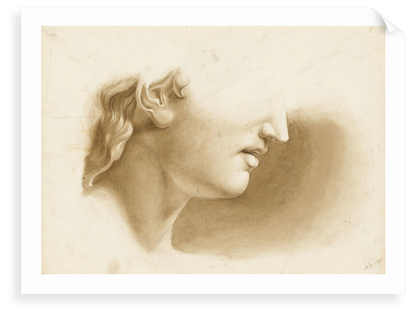 Study of the lower part of a human face, possibly a statue by Margaret Louisa Herschel