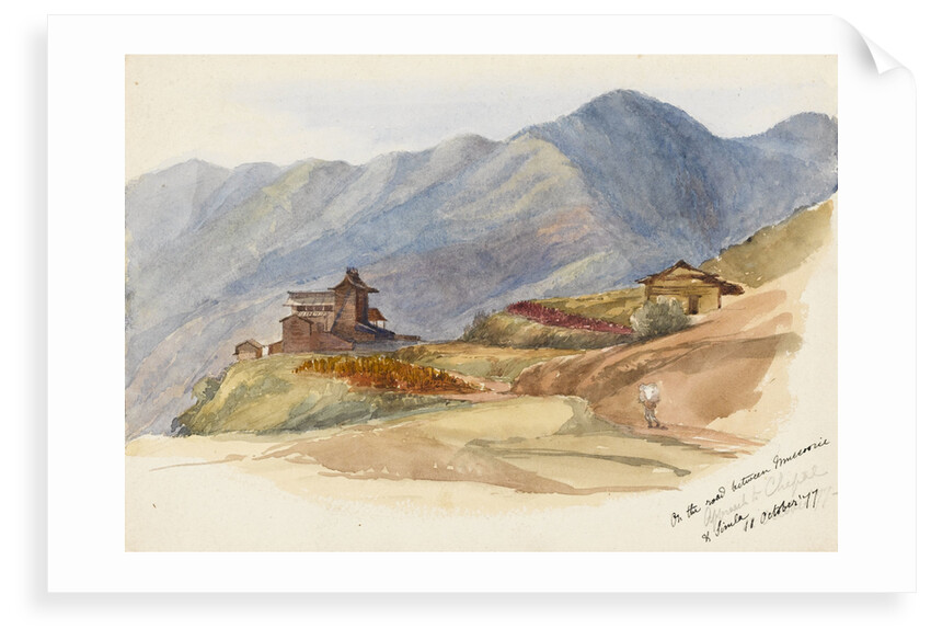 On the road between Muccorice and Simla, 11 October 1877' by Matilda Rose Herschel