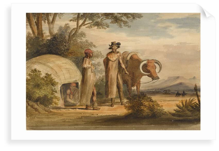 South African man and woman with an ox, a woman in a native built hut by unknown