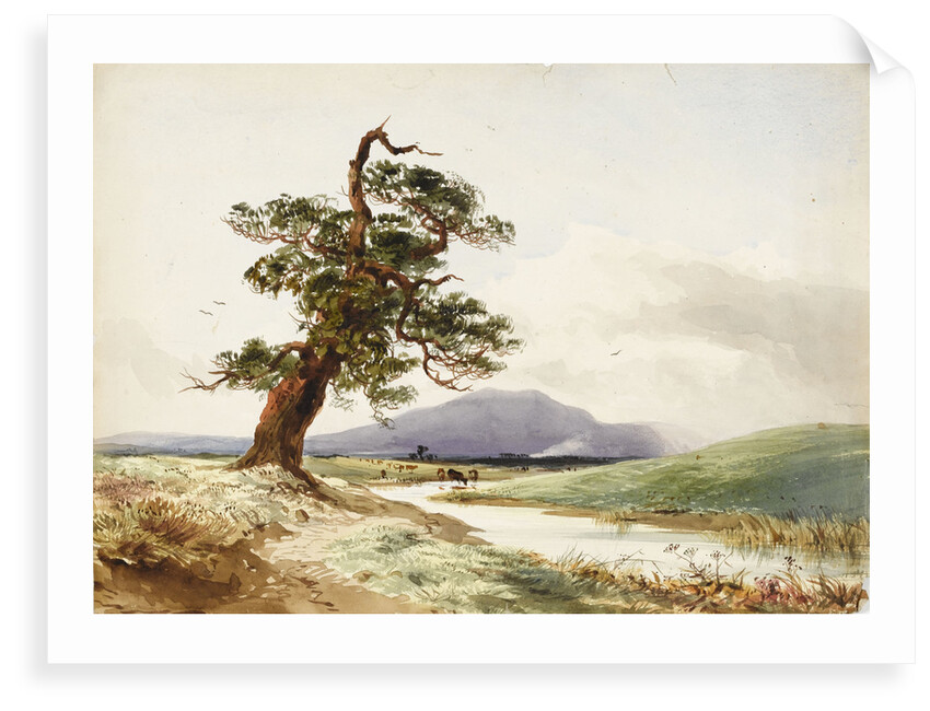 View of a tree near a river with cattle drinking and purple hill beyond by John Frederick William Herschel
