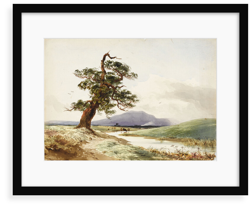 View of a tree near a river with cattle drinking and purple hill beyond by John Frederick William Herschel