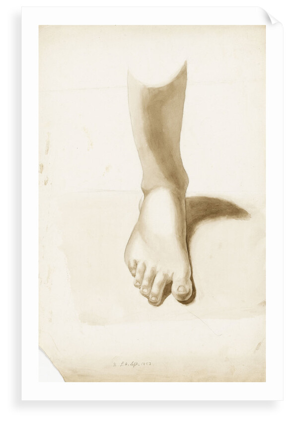 Study of a foot and ankle by Margaret Louisa Herschel