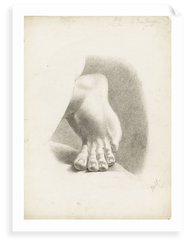 Study of a foot with toes bent by Matilda Rose Herschel