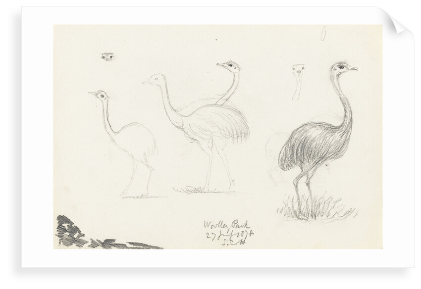 Wooley Park, 27 July 1878 by S.E. Hardcastle