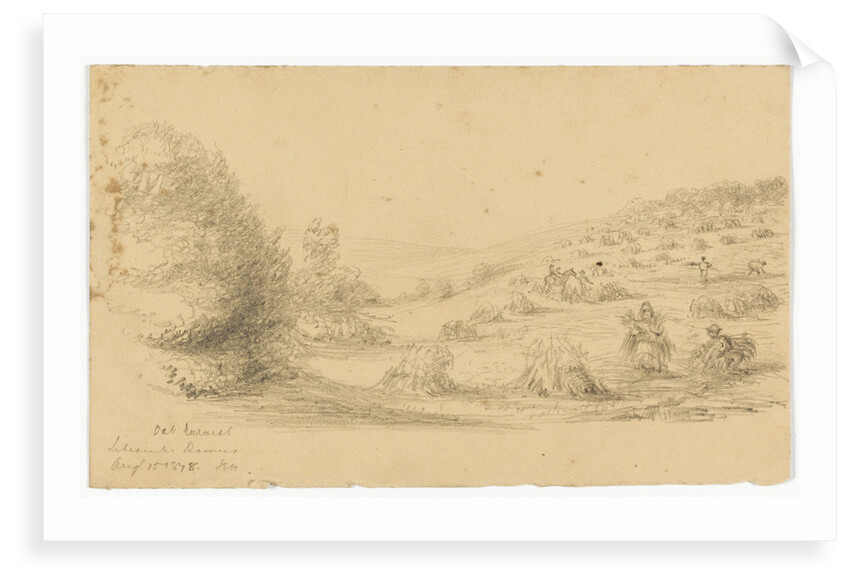 Oat Harvest, Litcombe Down. Aug 15 1878 by S.E. Hardcastle