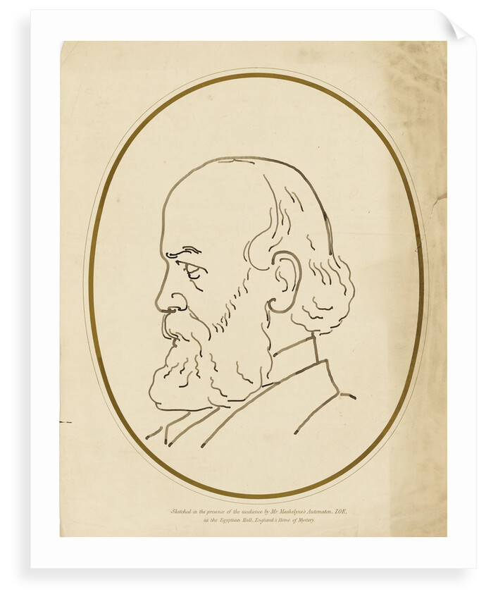 Head of a bearded gentleman by unknown