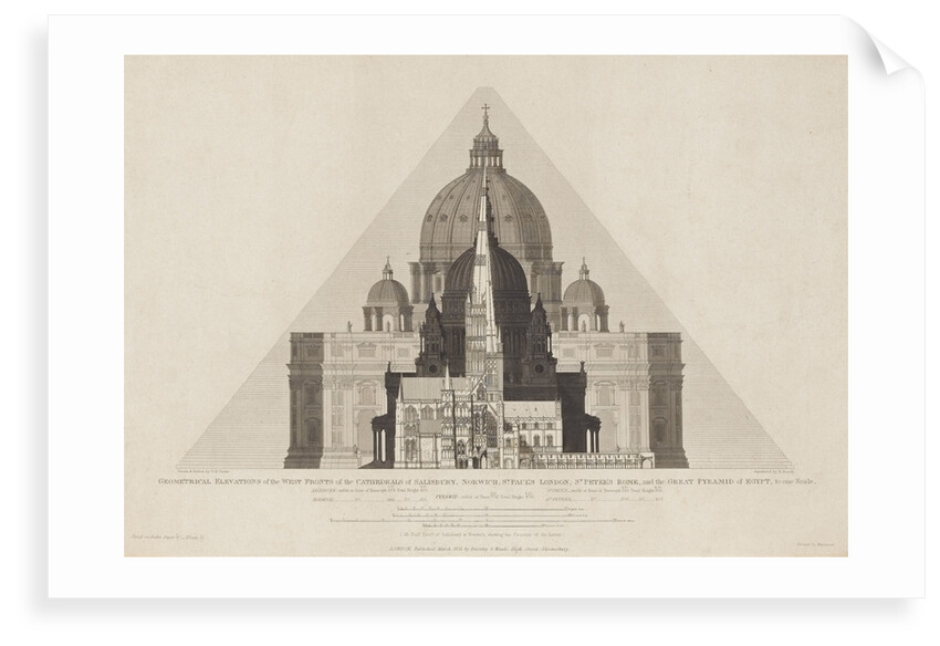 Geometrical Elevations [...] of the Cathedrals of Salisbury, Norwich, St Paul's London, St Peter's Rome, and the Great Pyramid of Egypt, to one scale.' by T. H. Clarke