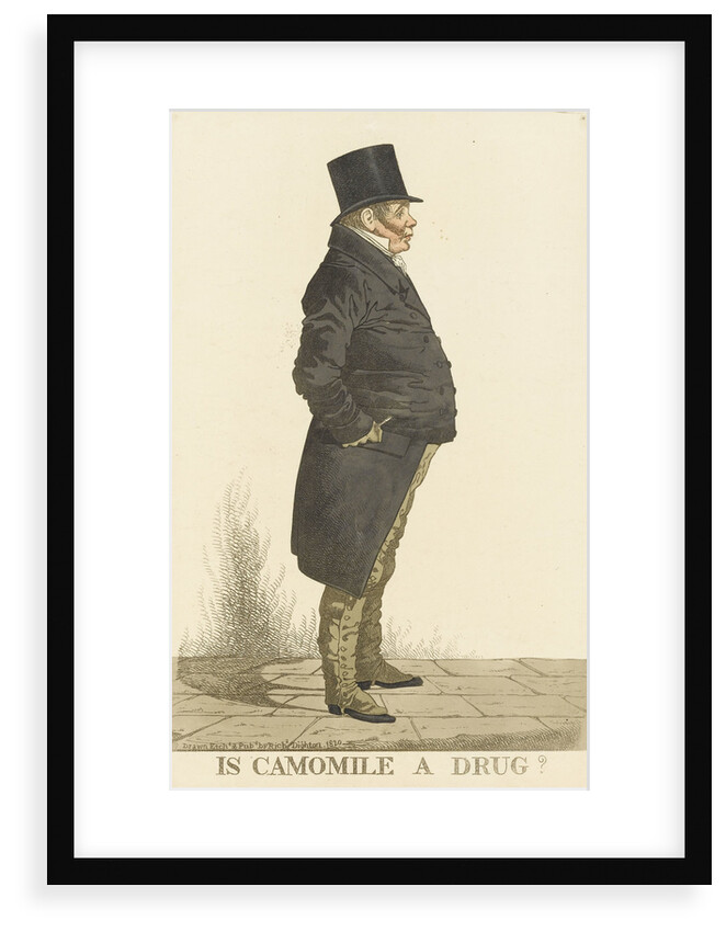 Is Camomile a Drug? by Richard Dighton