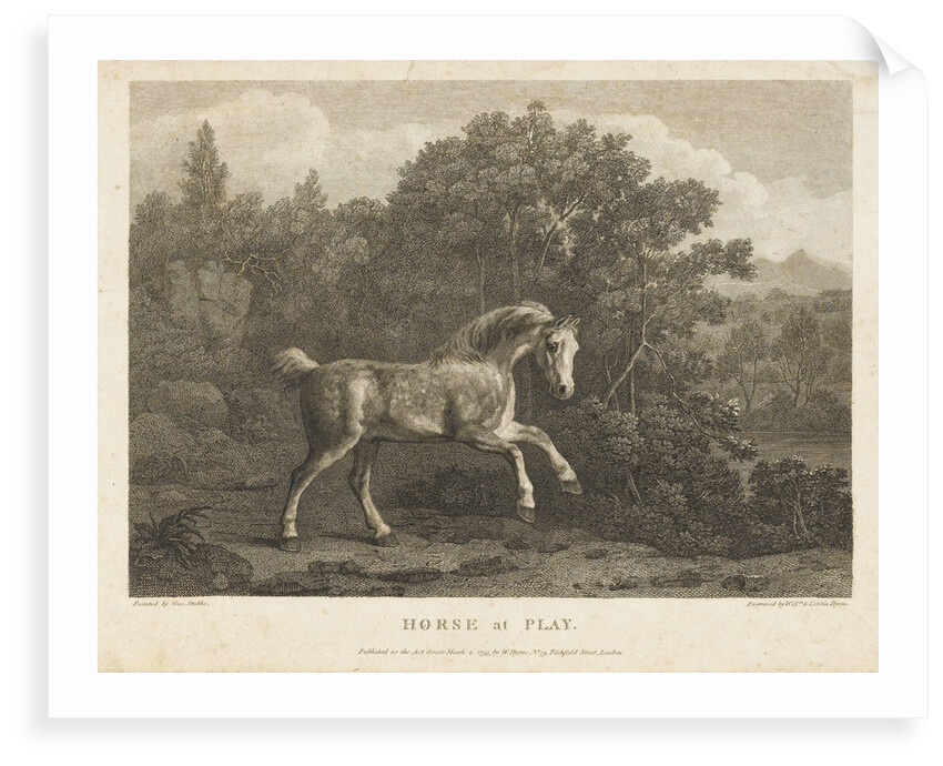 Horse at Play by George Stubbs