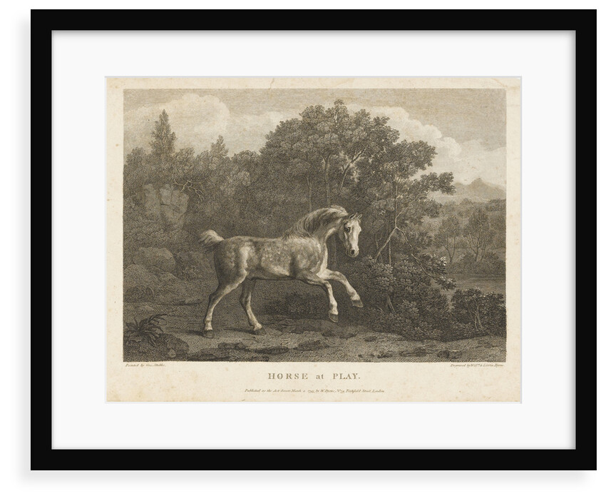 Horse at Play by George Stubbs
