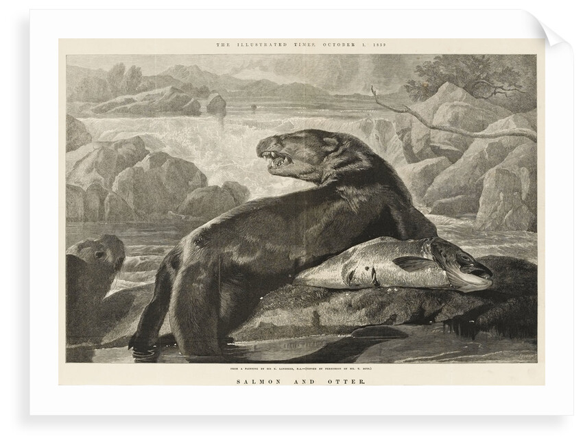Salmon and Otter by S. Loudan