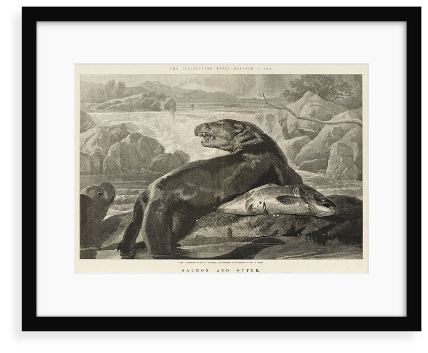 Salmon and Otter by S. Loudan