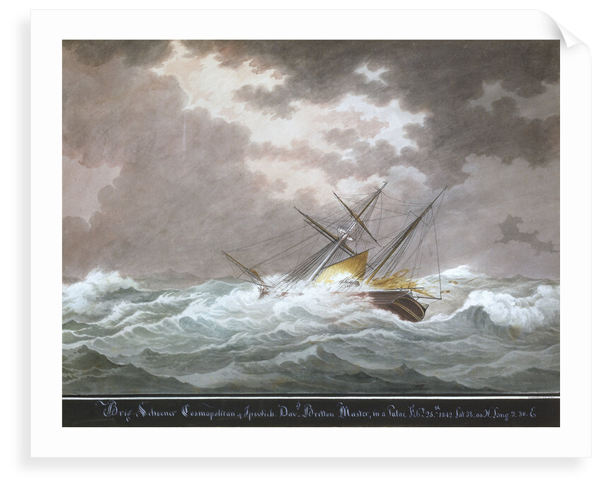 Brig schooner 'Cosmopolitan' of Ipswich by Nicholas Cammillieri