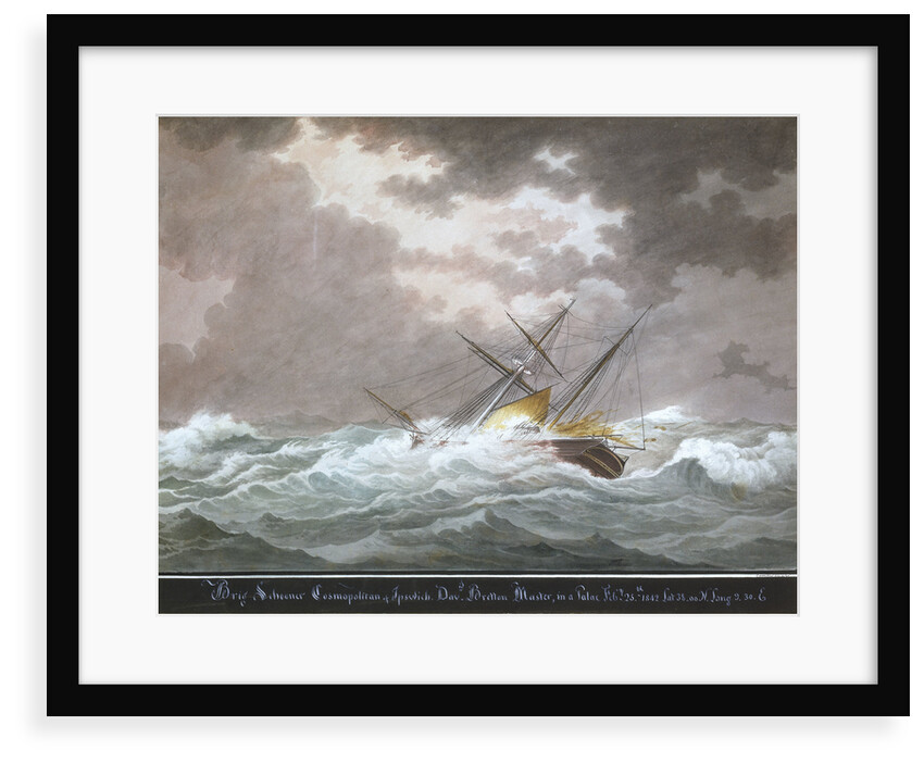 Brig schooner 'Cosmopolitan' of Ipswich by Nicholas Cammillieri