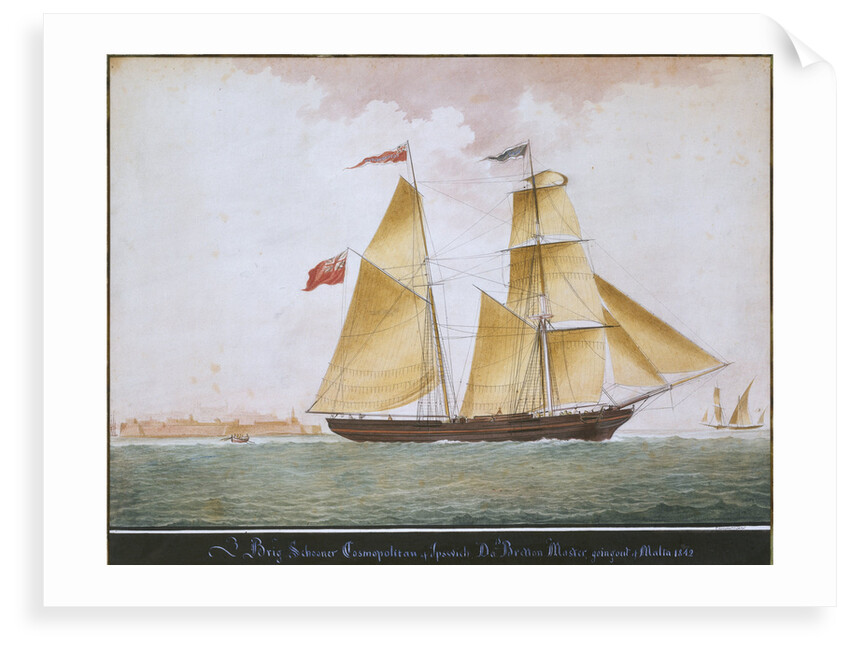 Brig schooner 'Cosmopolitan' of Ipswich by Nicholas Cammillieri