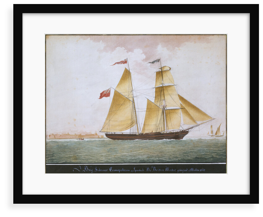Brig schooner 'Cosmopolitan' of Ipswich by Nicholas Cammillieri