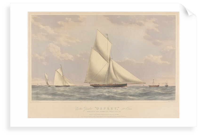 Cutter yacht 'Osprey' (1859) 59 tons by Josiah Taylor