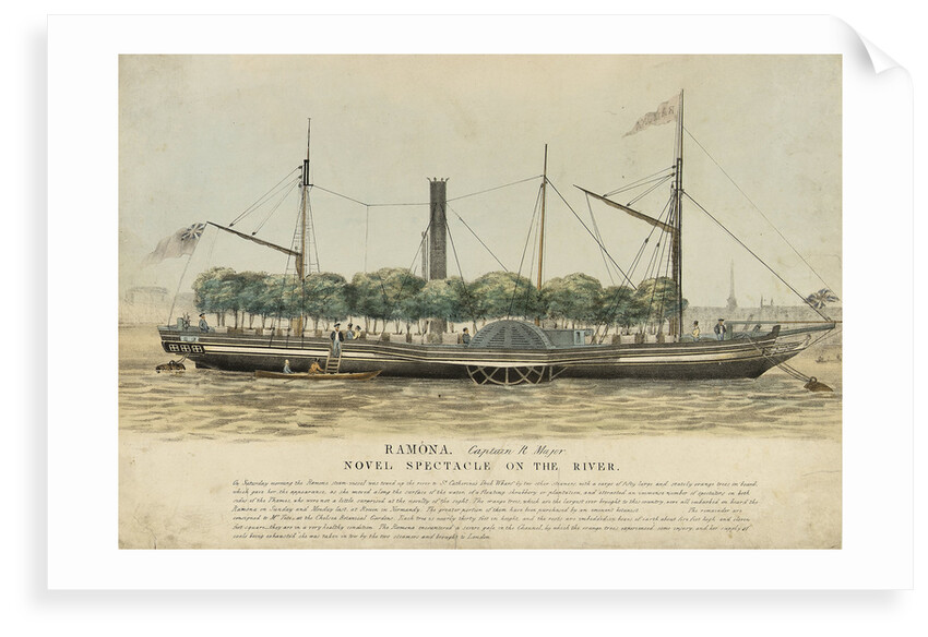 The steam vessel 'Ramona' by Unknown