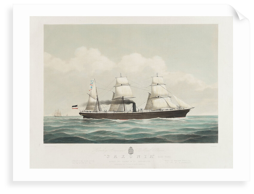 Hamburg American mail steamer 'Saxonia' by H. Petersen