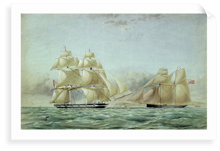 Sailing vessels 'Lyra' and 'Petrel' - opium ships by Thomas Goldsworth Dutton
