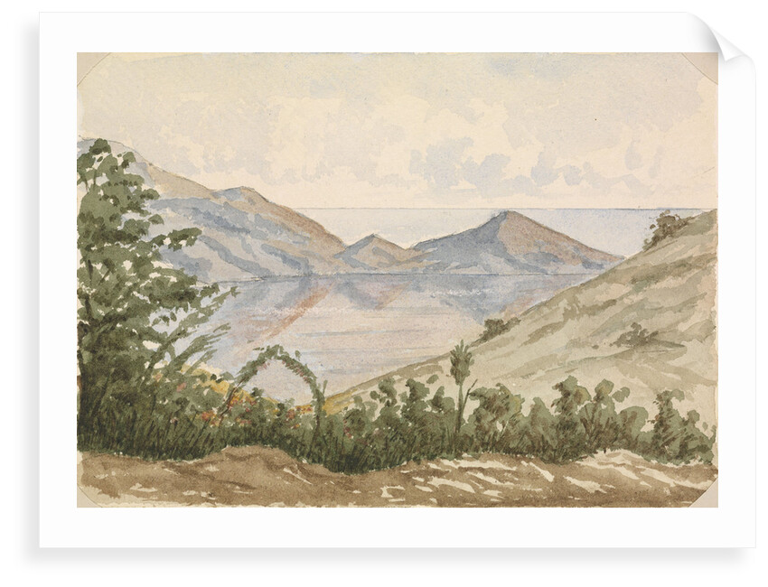 On the way to the Laguna, Valparaiso by Hamilton Williams