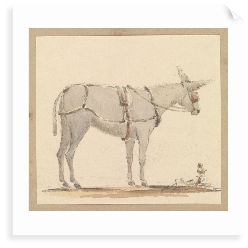 Study of a donkey with a bridle and harness by Robert Streatfeild