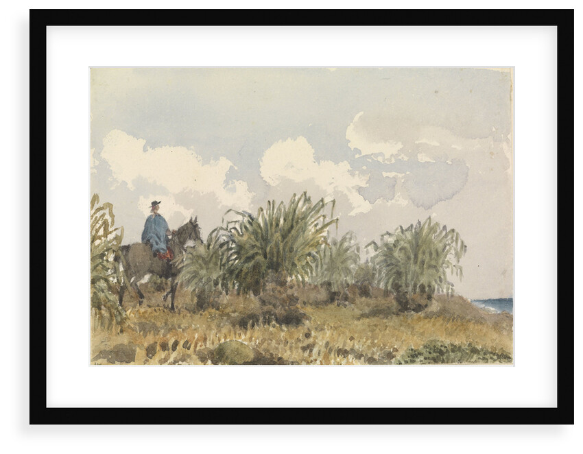 Tussac Grass, Falkland Islands by Edward Gennys Fanshawe
