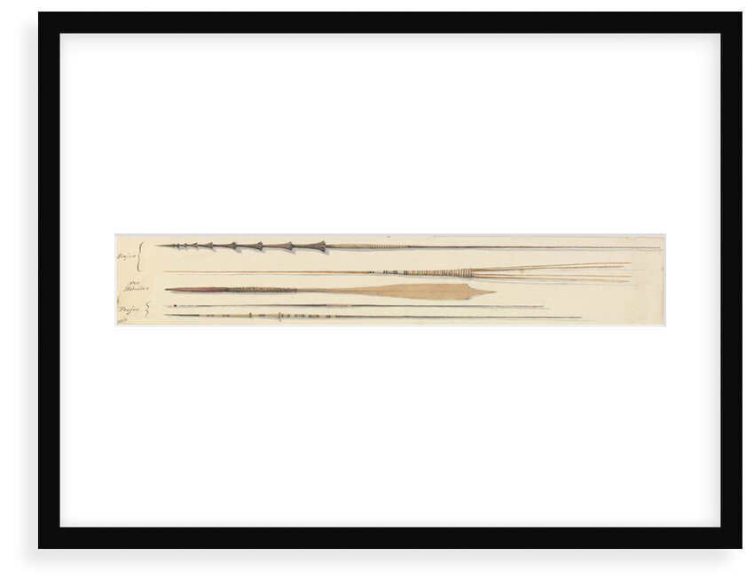 Spears from Feejee [Fiji] & New Hebrides by Edward Gennys Fanshawe