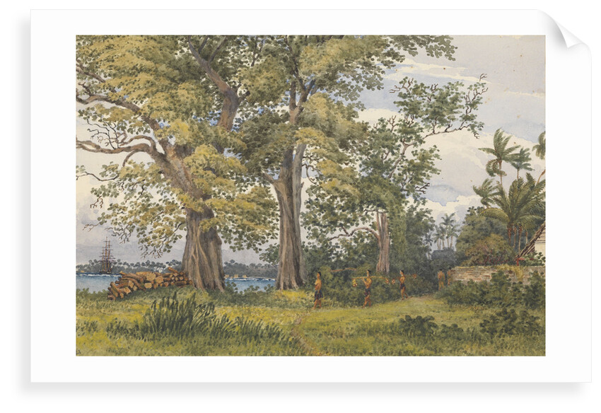 Apia Bay, Upolu, NavigatorsIslands, [Samoa] from verandah of my sick quarters, Novr 6th 1849 by Edward Gennys Fanshawe