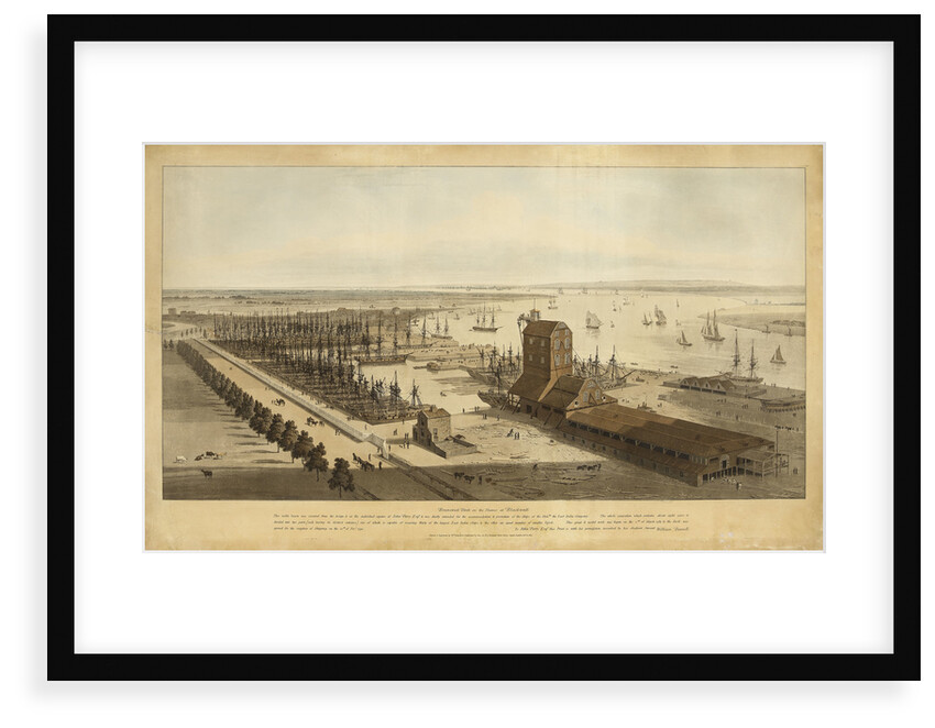 Brunswick dock on the Thames at Blackwall by William Daniell